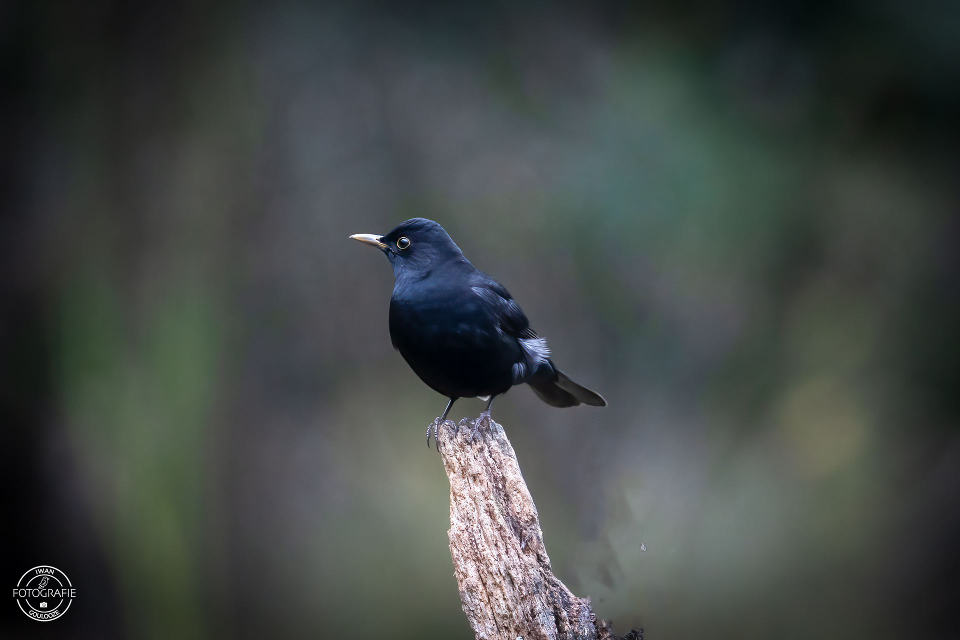 23 oktober 2022 162636 1R2A1851 bewerkt